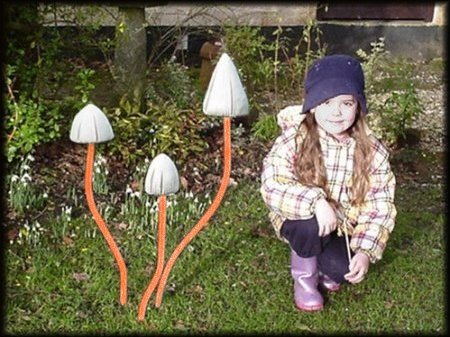 Giant Slender Stem Toadstool Clump from Dorset Toadstools Holdenhurst