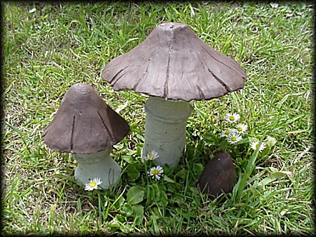 Parasol Toadstool Clump from Dorset Toadstools Holdenhurst
